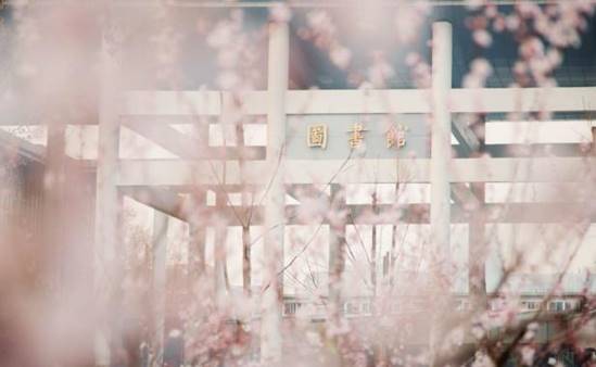 说明: 1、